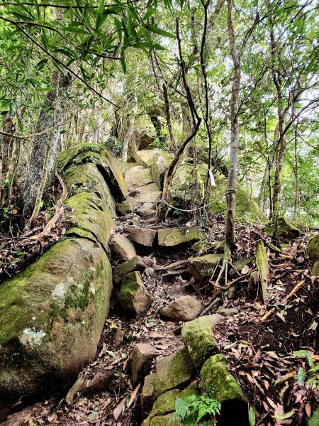 小百岳集起來-向天湖山2183019