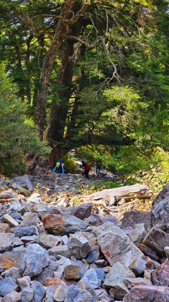 112.04.16 玉山前峰2123669