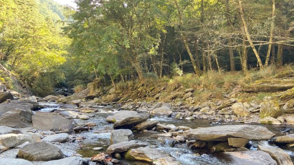 南湖中央尖-------北一段2868256