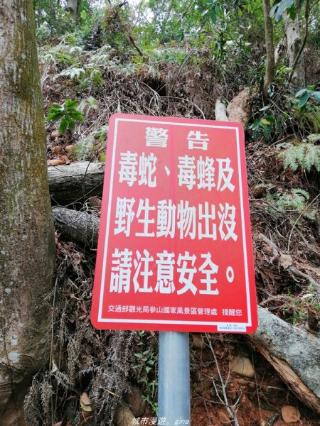 【南投】散步小百岳。 小百岳集起來。 編號48小百岳~橫山1386352