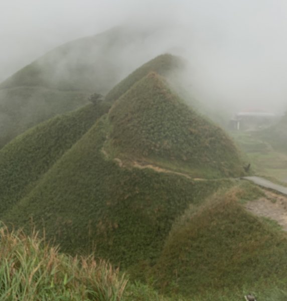 【溫泉步道小旅行】聖母山莊步道 - 雨中的抹茶山