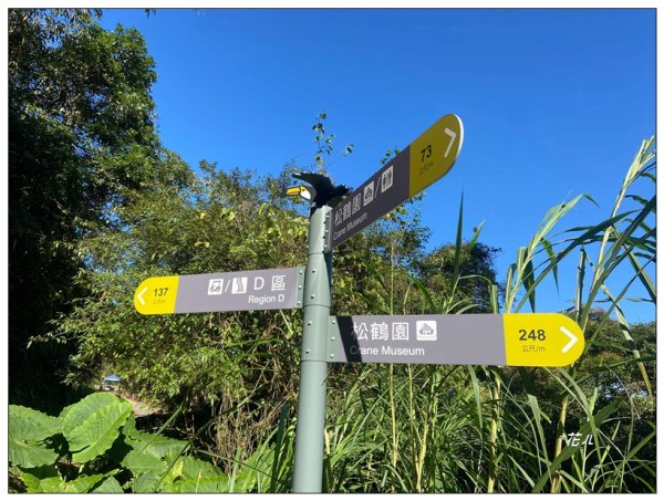 鳳凰谷鳥園步道2695886