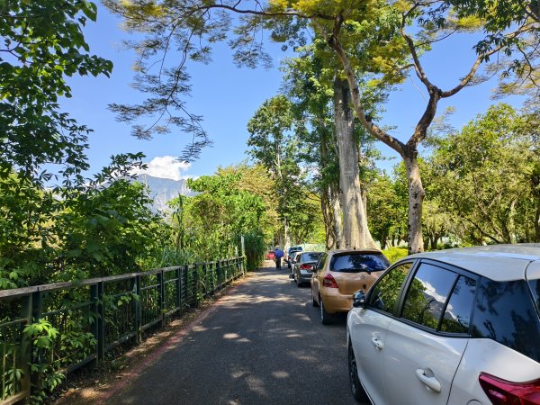 [漫遊縱谷 愛在花東-07/10] 2025_1012 花蓮鯉魚山步道群2913393