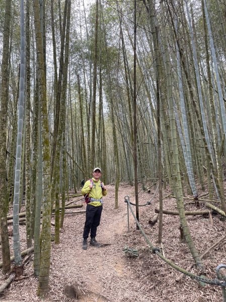 【忠の水社大山】~遠眺日月潭與群山-202302052063598