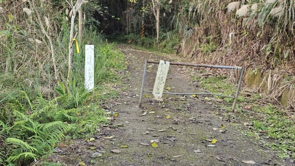 鵝公髻山 鵝公髻山東北峰 第一登山口上下入門路線2395262