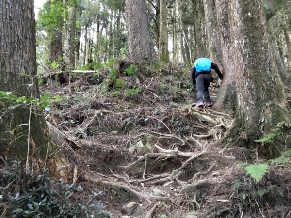 自忠上東水山連走特富野古道1244572