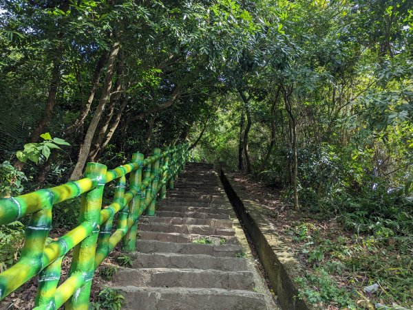 【百大必訪步道】飛鳳山、觀日坪古道1981990