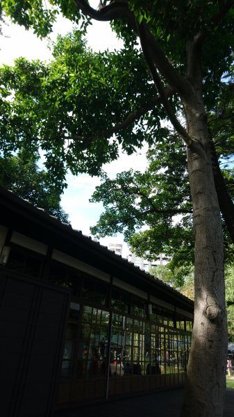 新竹麗池公園430305