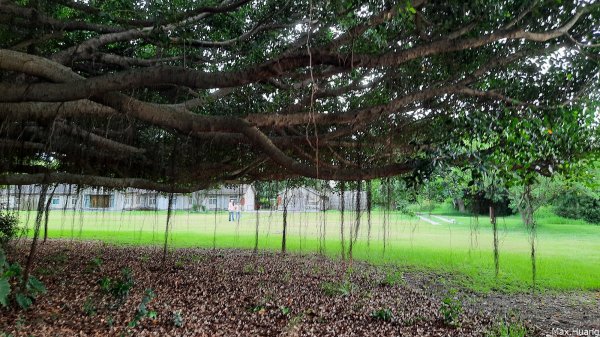 《台中》牛罵頭遺址｜清水鰲峰山公園步道202307232229956