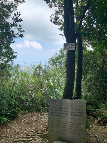 獅仔頭山/小百岳1453975