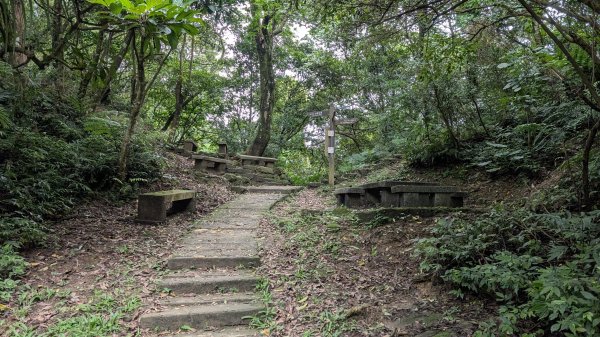 115.05.01天上山-桐花公園之旅3052120