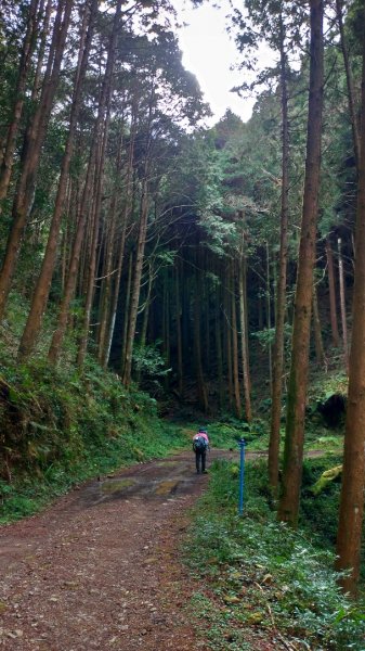 石山引水道👍瀑布1599453