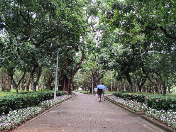 大安森林公園、西門町、象山公園【2025臺北健走趣】2834213