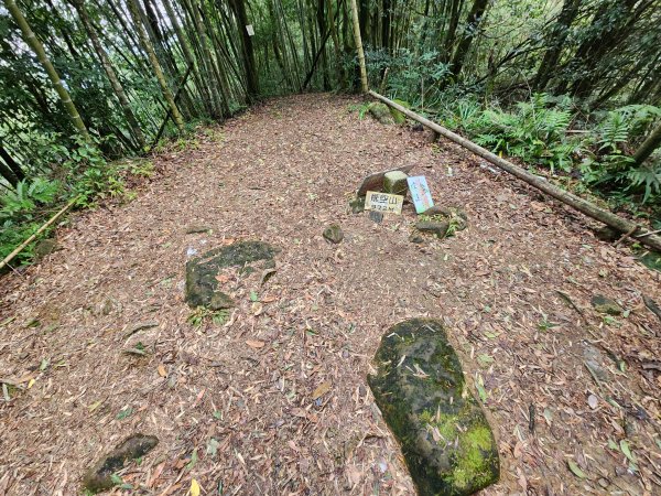 火燒寮山熊空山竹坑山加九嶺O型2966281