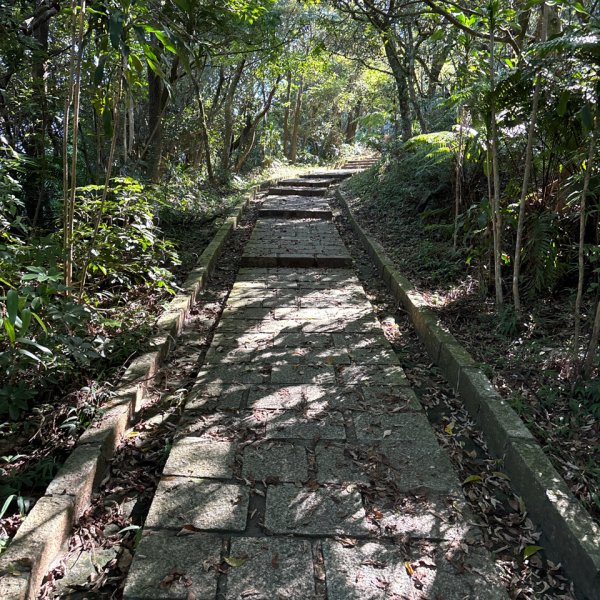 大崙頭山、大崙尾山2922654