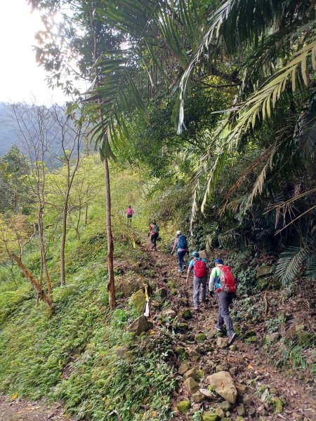 【台南白河】雞籠山+九龍山+大凍山O繞縱走2797134