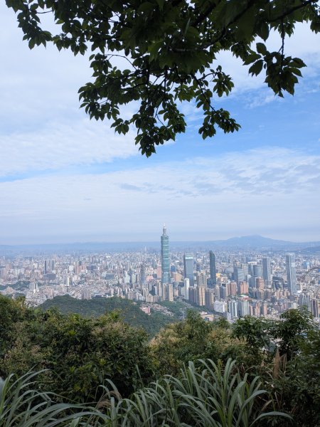 2025-06-01 五進五出九五峰2803009