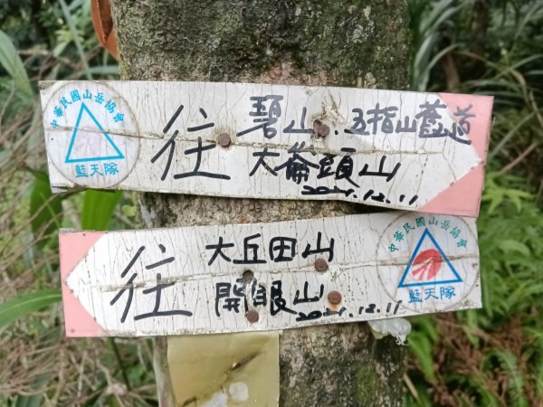 內湖區大丘田保甲路+開眼山+白石湖山+白石湖山東峰+大邱田山+消防山O型2858926