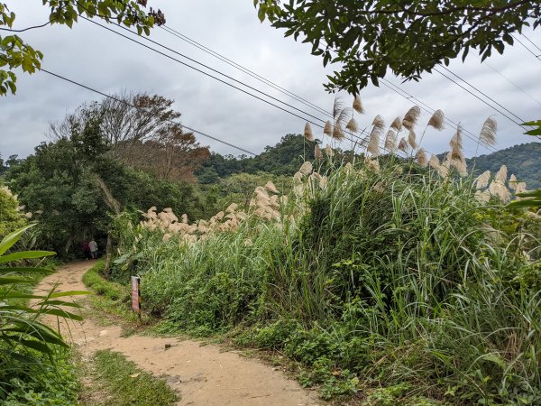 麟光至萬隆 南港山列 福州山 中埔山 芳蘭山1663774