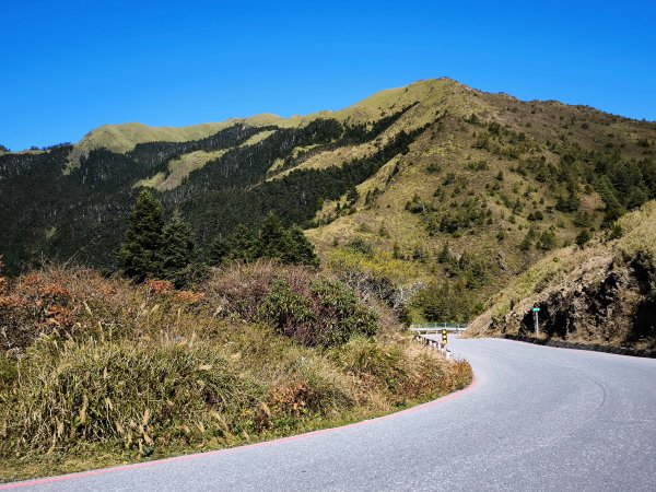 2025-11-07 合歡北峰、小溪營地、鷹石尖、北峰名樹2934323