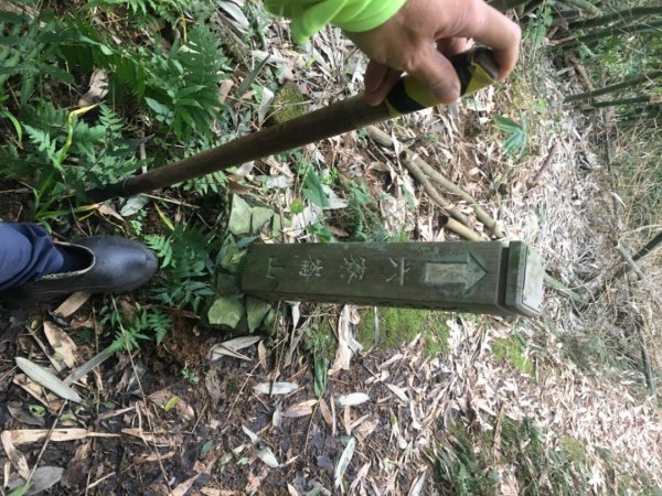 六寮崙山、雞罩山、白雞山8字走2371114