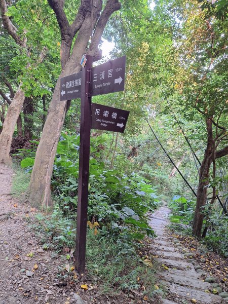 桃源里森林步道+龍鳳谷步道+坑子內山202509062880234