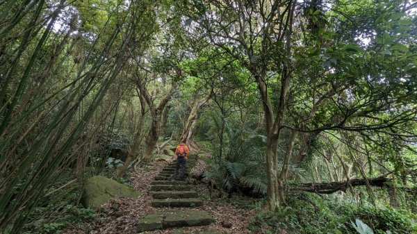 112.04.22走遍陽明山尋寶任務之中正山2126832