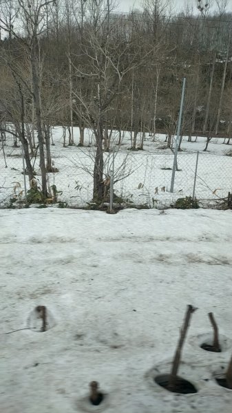 日本北海道旭岳：大雪山國家公園2759747