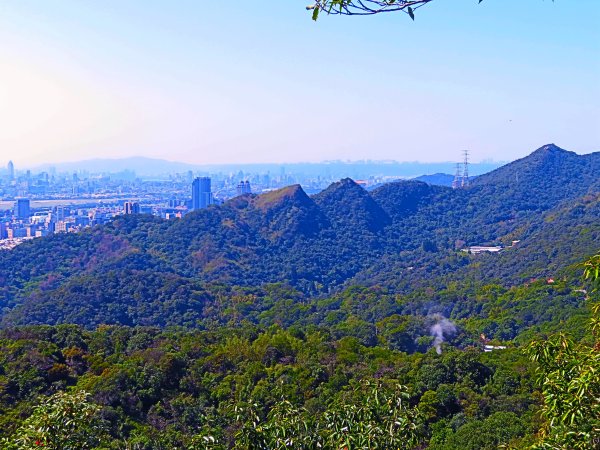 龍年首登的好選擇，鯉躍龍門，搭捷運來內湖爬三尖，鯉魚山、忠勇山、圓覺尖2426568
