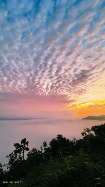 #坪林 #南山寺 #飛碟茶園 #慈瑤宮 #環山路 #日出 #雲海 #觀音圈 5/21-233058248