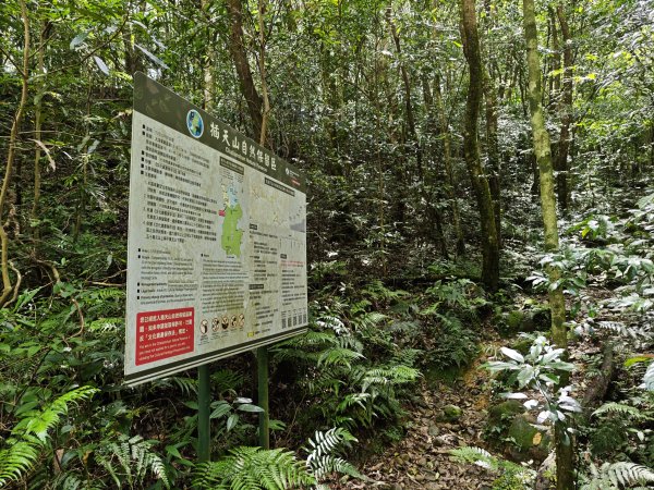 2025_0601 赫威山2802303