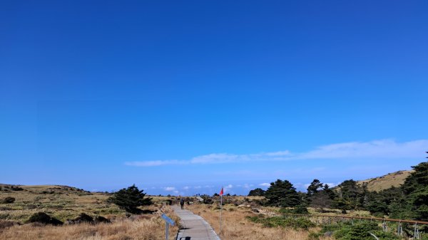 濟州島漢拏山-御里牧路線下2942700