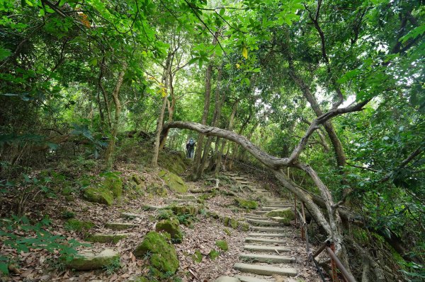 臺中 北屯 南觀音山2638632