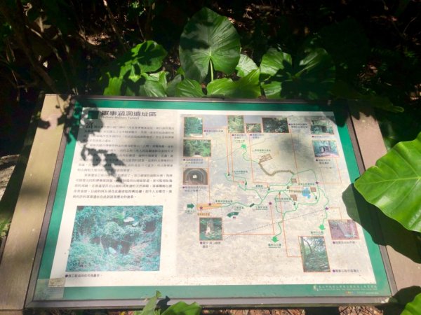 2019-08-10富陽公園、福州山656073