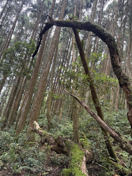 1150725高島縱走3092007