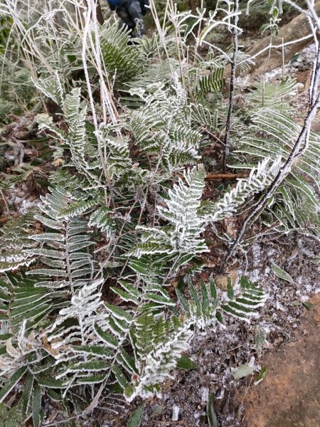 雪季北得拉曼2956428