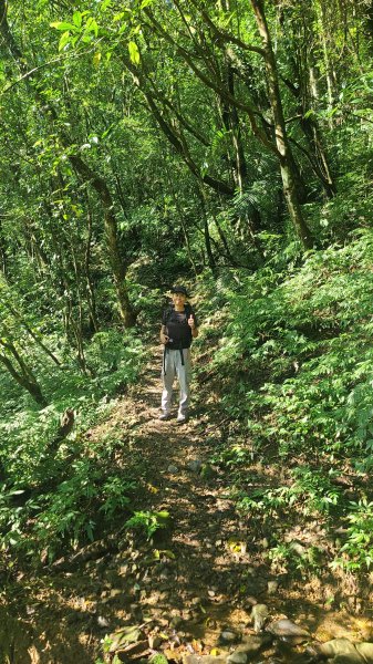 2026-0204 中坑古道_下坑古道O型3005572