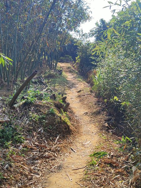 臺北大縱走第六段3025105