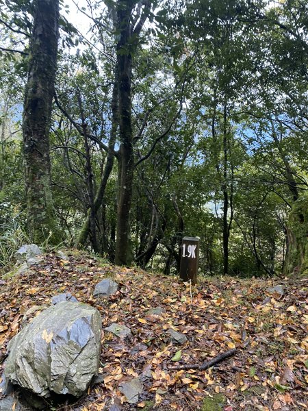 大霸尖山3日(2024.12.24~12.26)2813819