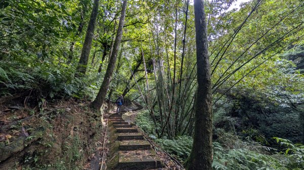 114.11.15平溪小黃山段-望古瀑布段之旅2937784