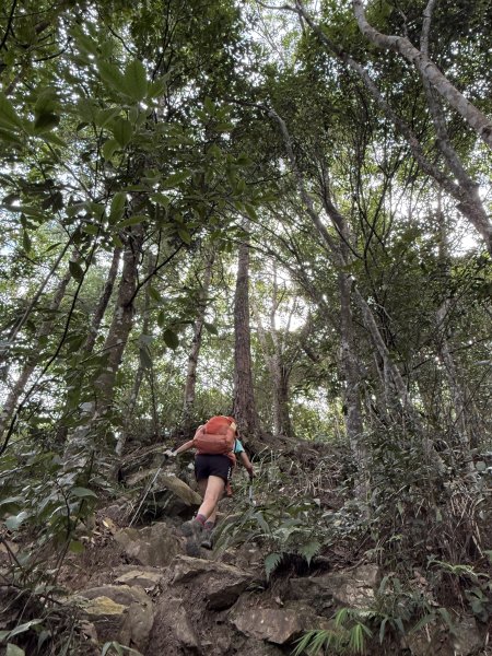 唐麻丹+蝴蝶谷O繞2887830