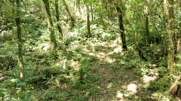 雙溪區三分二山-烏山古道東段-烏山1號O型3047455