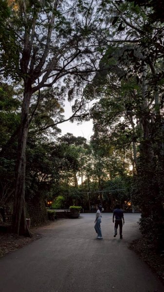 十八尖山步道3056564