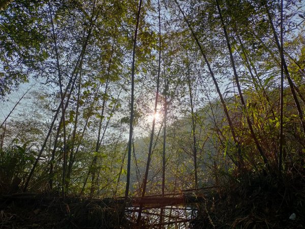 太平老街，大籠頂山，奉天岩，獨立山（嘉義竹崎）2235562