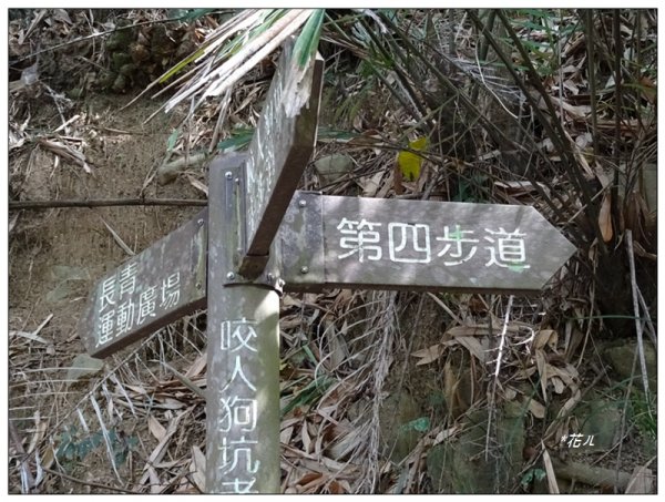 咬人狗坑登山步道(三汀山)2125983