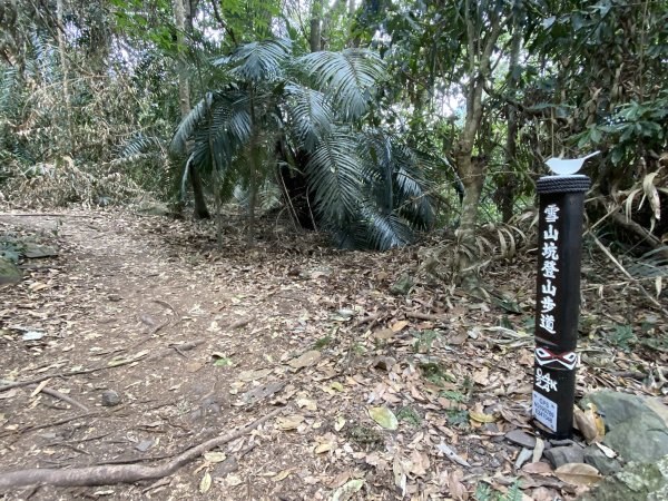 《雪山坑登山步道｜巨人之手森林秘境 Xueshankeng Hiking Trail & Giant2971077