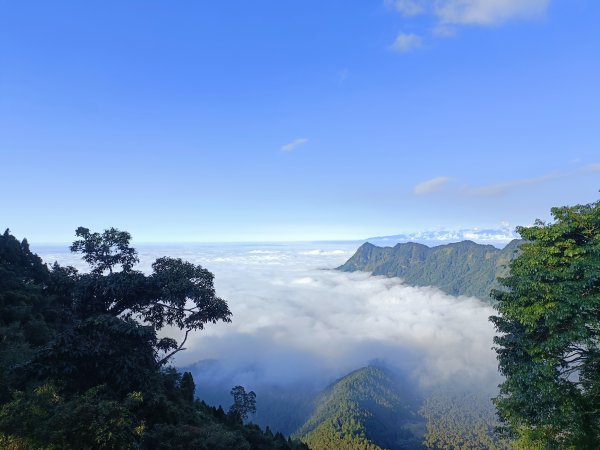 雲海的感動-金柑樹山