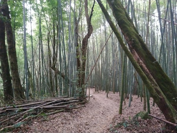 石壁山 好望角 嘉南雲峰 O型 南側進813385