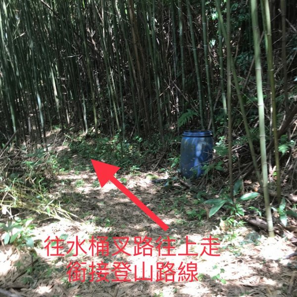 大溪金面山_分水崙登山口探路202208011969352