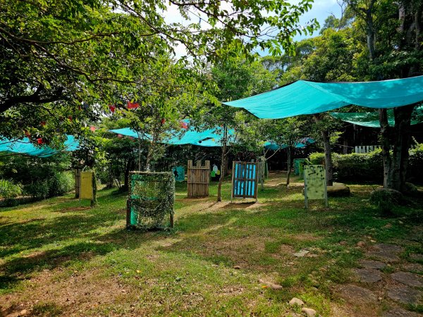 漢卿步道/秀才步道-2025森遊竹縣皮皮獅探險隊2890069